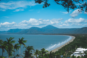 a beach with palm trees and a body of water