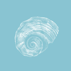 Fototapeta na wymiar Hand drawn illustration of a sea shell with engraved lines and dots and simple sketch