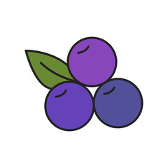 Blueberry, simple vector icon, filled outline.