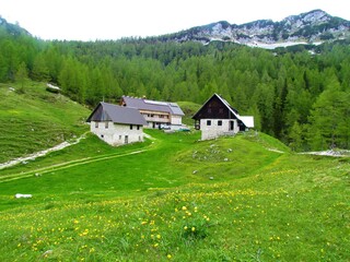 Fototapeta na wymiar Shepards huts at Lipanca at Pokljuka in Gorenjska, Slovenia