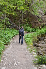 Turysta na szlaku w Dolinie Białego Potoku, tatry, początek szlaku