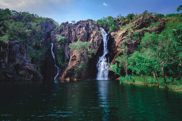 a waterfall in a forest