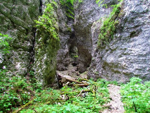 Narrow Passage At Pokljuka Gorge