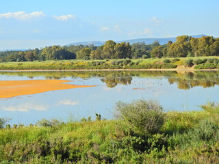 Ria Formosa Natural Park in Algarve, Portugal