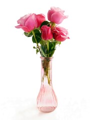 pretty pink and red roses close up