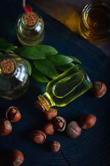 Concept of organic vegetable oils for cooking and cosmetology. Hazelnut oil and fresh nuts.