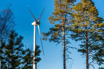 Close view from behind two trees at standalone wind turbine rising above pine tree forest, road...