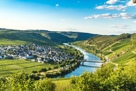 Trittenheim in Germany