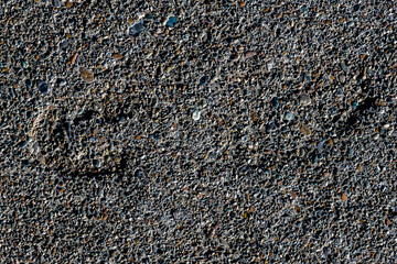 Imprint of a Footprint in Concrete