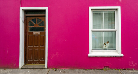 Fototapeta na wymiar Cat in the Window in Dingle, Ireland