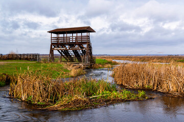 Przystań Waniewo, Narwiański Park Narodowy, Podlasie, Polska © podlaski49