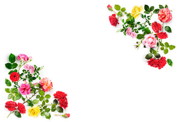 Obraz na płótnie Canvas Rose flowers creative frame