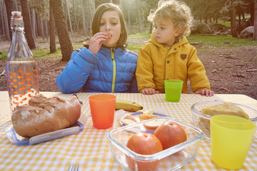 Brothers on picnic in park.