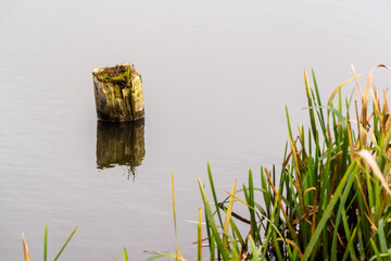 Przystań Waniewo, Narwiański Park Narodowy, Podlasie, Polska © podlaski49