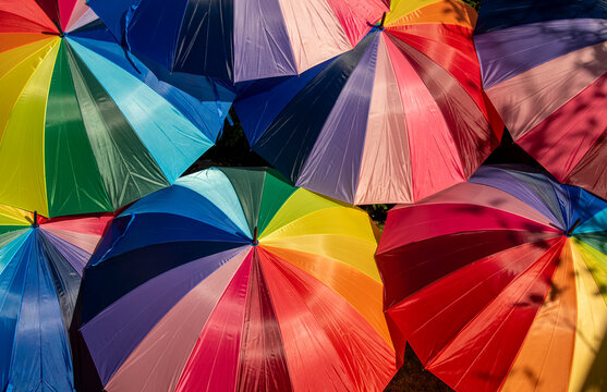 Happy colored umbrellas in the sunshine