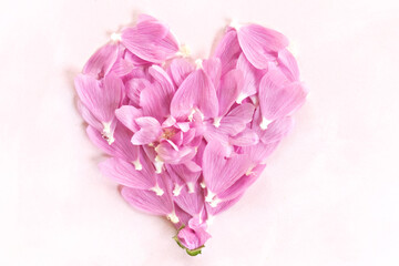 Heart of pink mallow petals on a light background with space for text. Card.