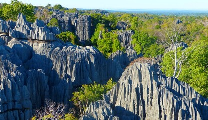 Spectacular Stone Forest natural geology wonder Tsingy de Bemaraha, Madagascar. Stone forest...