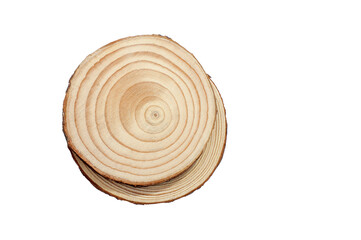 Wood slice texture on white background