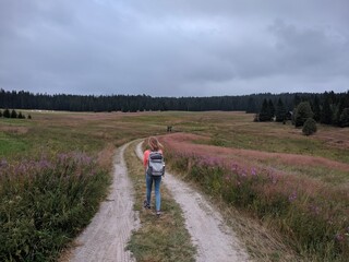 Fototapeta na wymiar woman hiking through the south bohemia national park during spring season