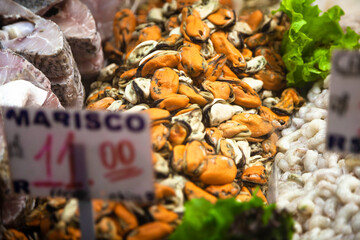 Seafood
