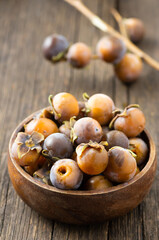 Ripe small persimmon fruit, black date or palm berries with branch on wooden background, (Diospyros lotus), copy space for text