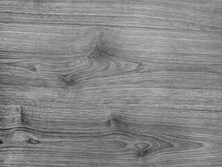 Ultimate Gray background texture of the tree. Color 2021. Abstract background