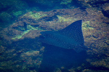 an aerial view of a body of water