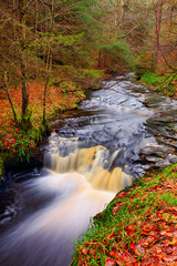 Fototapeta na wymiar Autumnal Landscape of a Forrest and a Waterfall, Hamsterley Forrest, County Durham, England, UK.