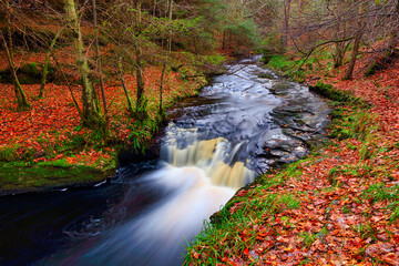 Autumnal Landscape of a Forrest and a Waterfall, Hamsterley Forrest, County Durham, England, UK.