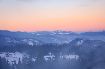 Carpathian winter. Snow coniferous forest on mountains at sunrise.
