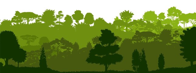 Deciduous forest. Silhouette. Mature, spreading trees. Thick thickets. Hills overgrown with plants. Isolated on a white background. Vector