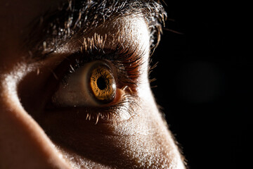 Very close detail of the brown-colored male eye with backlight