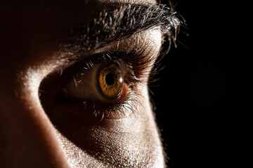 Very close detail of the brown-colored male eye with backlight