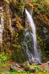 Fototapeta premium Waterfall near Baker Lake, Mount Baker Snoqualmie National Forest, Washington