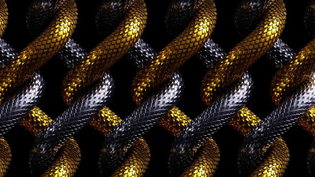 3d abstract background with net, interlaced golden and silver snakes moving, metallic scales texture, loop animation