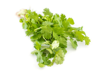 fresh coriander leaves on white