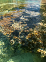 Stromatolite of different colors in transparent water