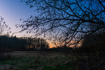 Whidbey Island sunset at park