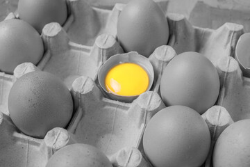 bright yellow yolk in a broken egg against a discolored gray image of an egg carton