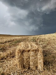 Hay bales in the field. Black big rain clouds. before the rain
