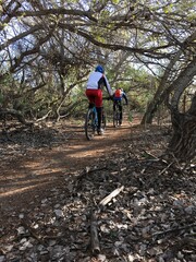 Ruta Ciclista MTB - BTT VIII