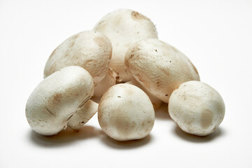 White mushrooms champignons on a light background.