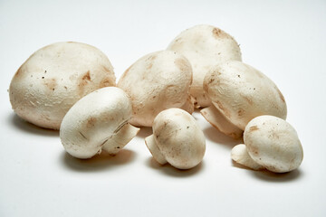 White mushrooms champignons on a light background.
