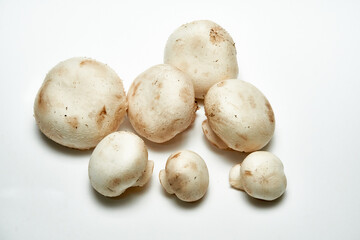 White mushrooms champignons on a light background.