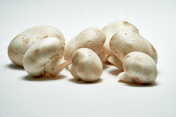 White mushrooms champignons on a light background.