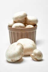 White mushrooms champignons on a light background.