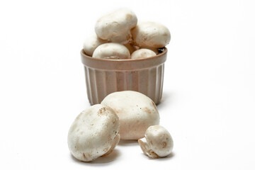White mushrooms champignons on a light background.