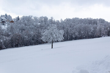 ski resort in the mountains  wintery white snow landscape 