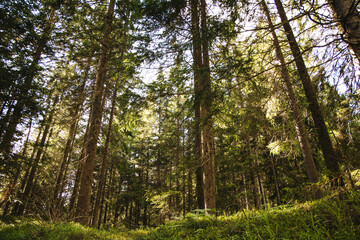 Walk over a river bed carved out by the water, the rock walls are eroded. Several stones form towers