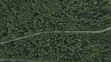 The road that passes through the middle of the forest